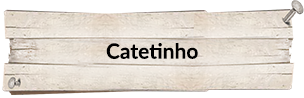 Catetinho